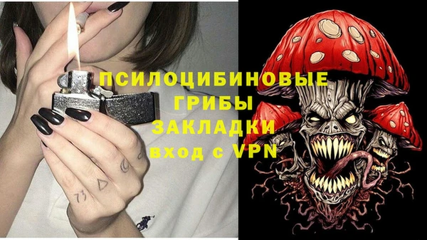 твердый Армянск