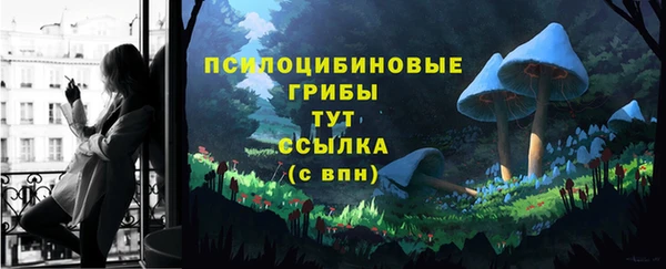 эйфоретик Арсеньев