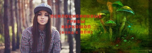 эйфоретик Арсеньев
