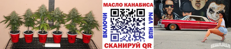 дарнет шоп Полевской KRAKEN ССЫЛКА ТГК жижа